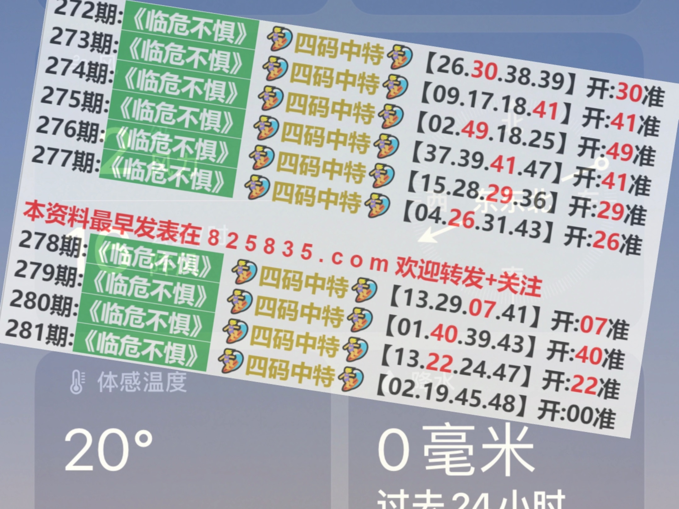 2024澳门特马今晚开奖113期,数据分析解释定义_薄荷版19.115