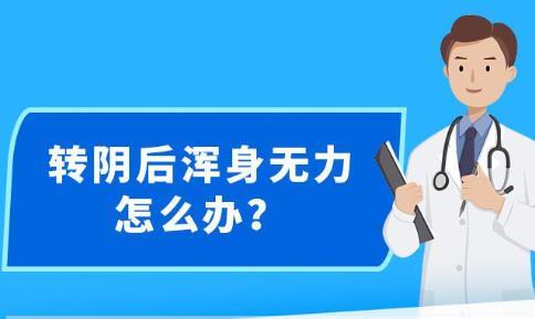 2024年12月4日 第16页