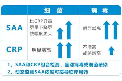 新澳门一肖一码中恃,数据分析解释定义_工具版39.282