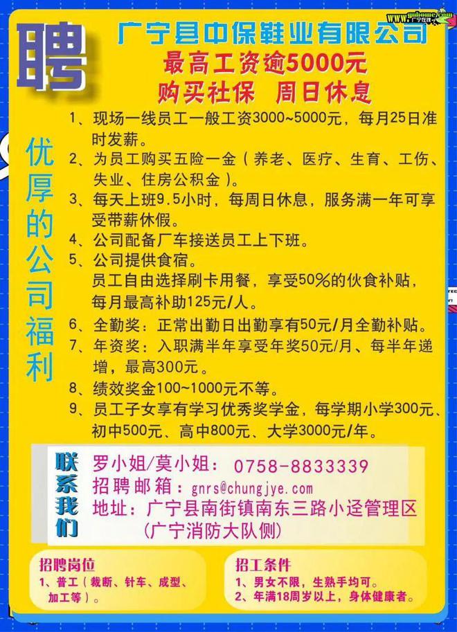 顺德大良最新招聘信息及其社区影响概览