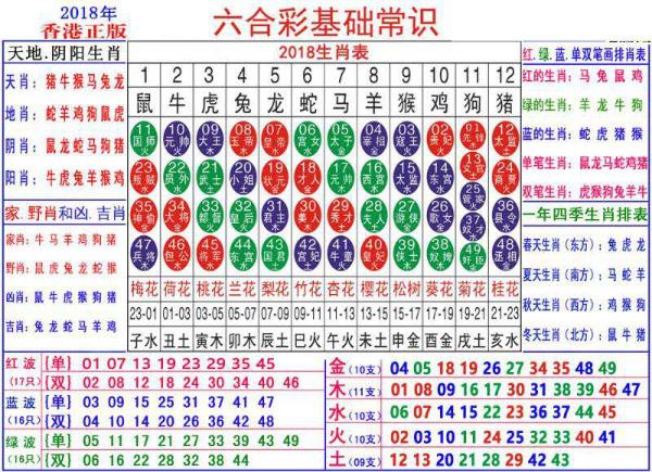 澳门正版资料大全资料生肖卡,准确资料解释落实_WP51.278