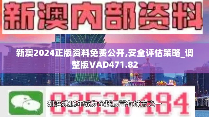 2024新澳正版免费资料,实地评估解析说明_V212.221