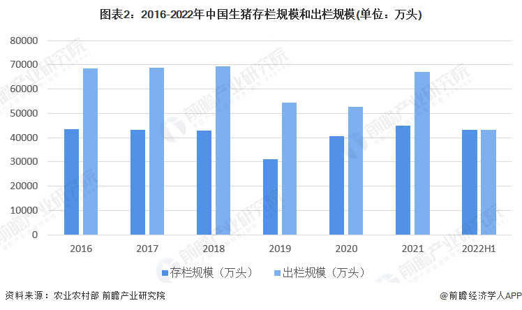 新澳门2024今晚开什么,经济执行方案分析_网红版72.385