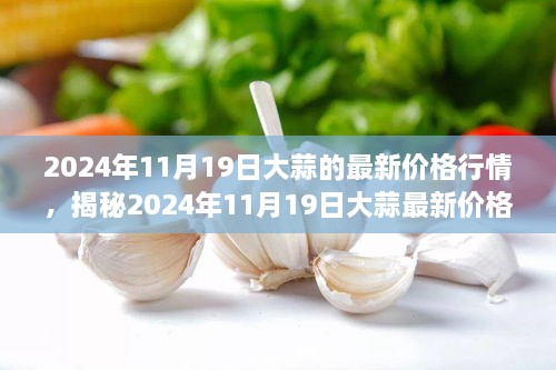 大蒜价格行情最新走势分析