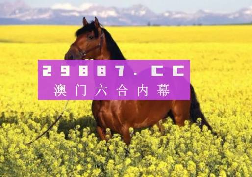 澳门天天六开彩正版澳门,效率资料解释落实_RX版31.98