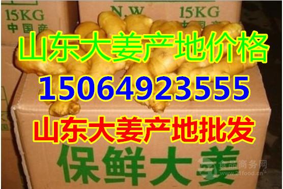 今日姜价格动态，最新消息与市场影响因素分析