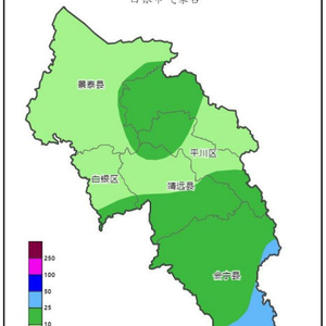 2024年12月20日 第7页