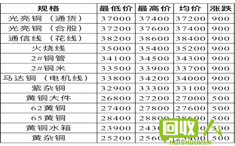 2024年12月24日 第12页