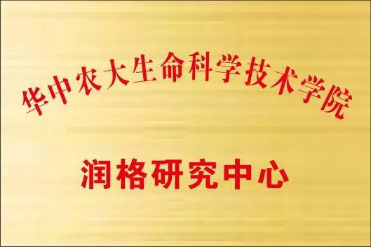 绵竹企业最新招聘信息全面概览