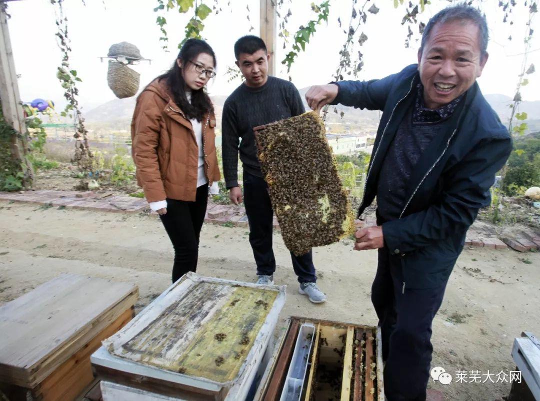 莱芜朗进最新招聘动态与职业发展机会探讨，招聘信息及趋势分析