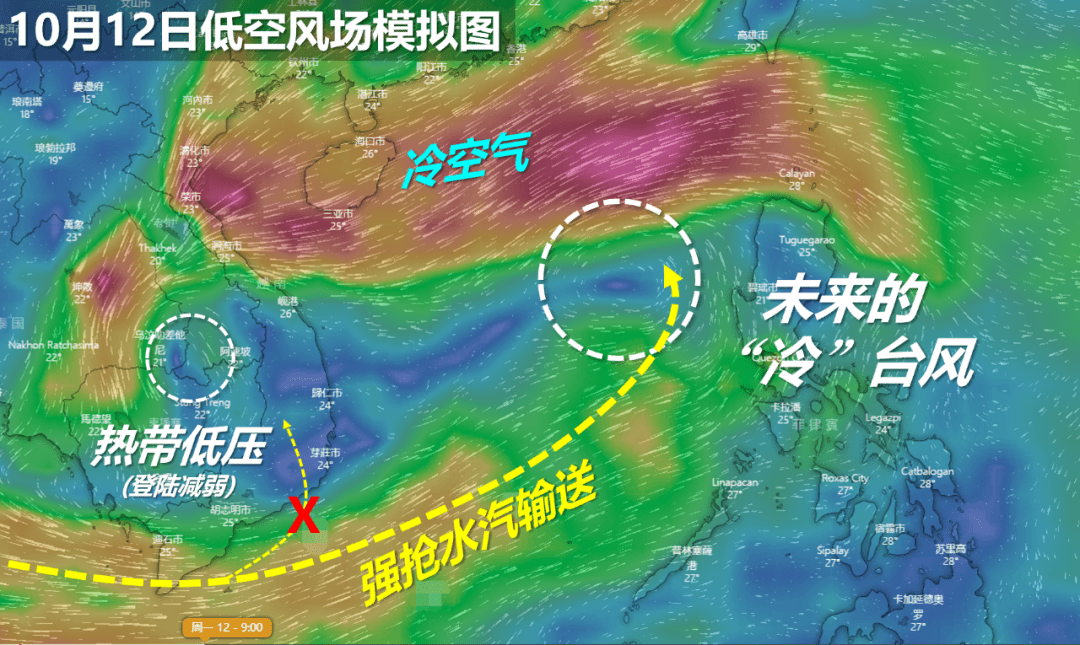 2025年1月8日 第15页