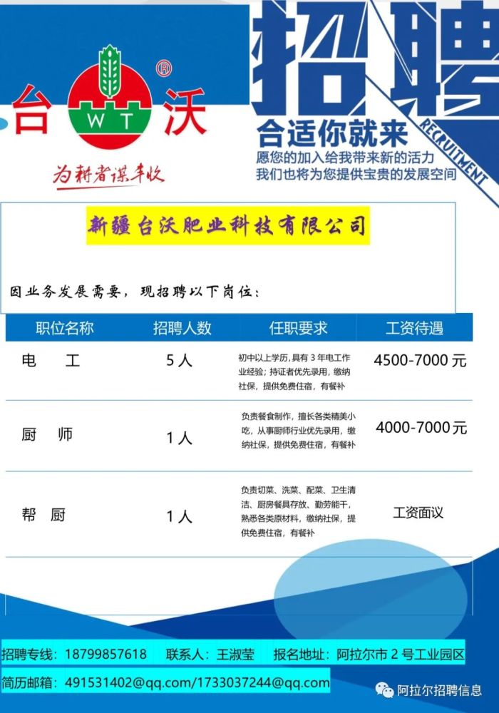 阳谷短期招工最新动态，行业趋势与求职指南发布