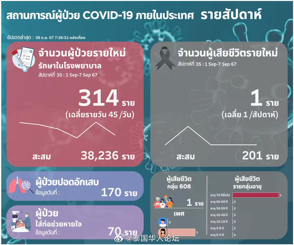 泰国疫情最新动态，挑战、应对策略全解析