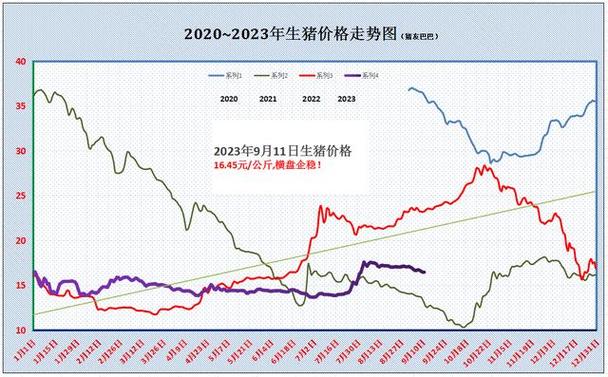 安化最新猪价及其分析概述