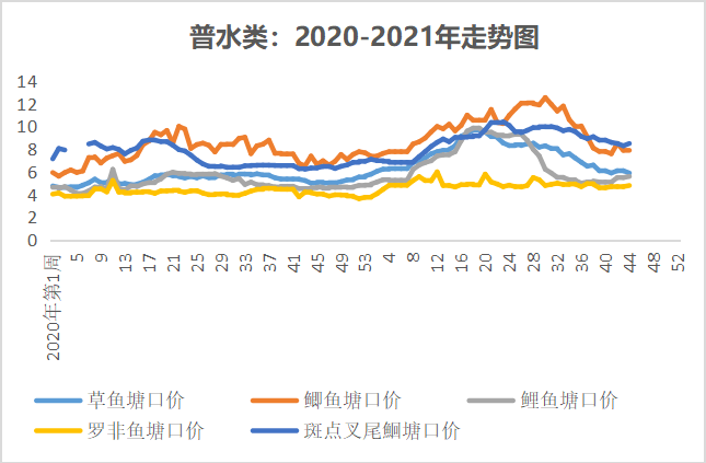 水产市场最新行情深度解析