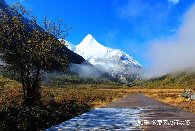 进藏最新公告发布，西藏之旅的新机遇与挑战探索