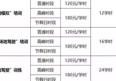 探索2019最新驾考趋势与变革，驾驶考试新特点解析