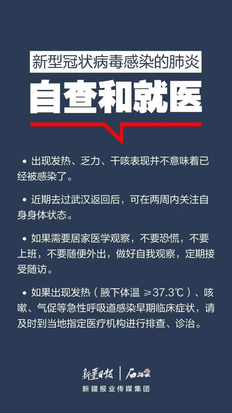 全球肺疫最新报告，疫情现状与应对策略全面解析